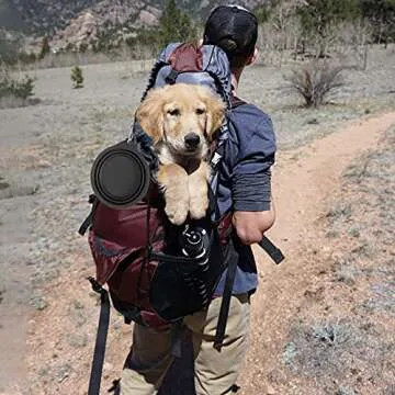 SLSON 2Pack Collapsible Dog Bowl,Integrated Molding Travel Bowl No Plastic Rim Pet Feeding Bowls for Walking Traveling Outdoors,600ML (Black+Light Grey)