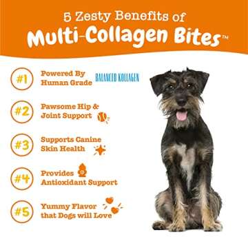 Zesty Paws Multi Collagen Soft Chews for Dogs - for Hip, Joint & Cartilage Support + Skin Health - w...