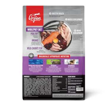 ORIJEN Dry Kitten Food, Grain Free Food for Kittens, with WholePrey Ingredients, 4lb