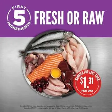 ORIJEN Dry Kitten Food, Grain Free Food for Kittens, with WholePrey Ingredients, 4lb