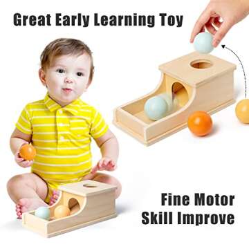 Busy edition Montessori Toys Object Permanence Box Soft Sound Wooden Color Baby Ball Drop Play for 6 Month 1 2 3 Year Old Toddlers Infant Early Age Toy