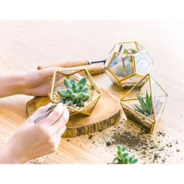 Mkono 4 Inches Mini Glass Geometric Terrarium Container Set of 3 Modern Tabletop Planter Shelves Decor Display Centerpiece for Succulent Miniature Fairy Garden Air Plant, Gold (Plant Not Included)