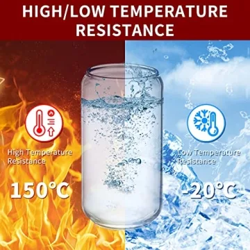 Hoteelee Eco-Friendly Drinking Glasses Set with Lids