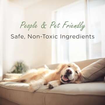 Moso Natural Air Purifying Bag 200g (3 Pack) Bamboo Charcoal Odor Absorber for Home & Car | Closet Odor Eliminator, Small Room Deodorizer & Car Air Freshener | Long Lasting Charcoal Bags Cover 90sqft