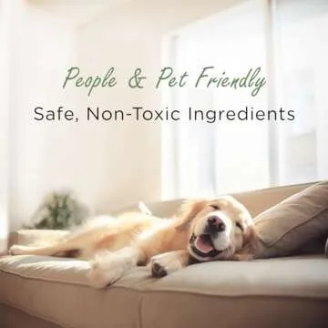 Moso Natural Air Purifying Bag 200g (3 Pack) Bamboo Charcoal Odor Absorber for Home & Car | Closet Odor Eliminator, Small Room Deodorizer & Car Air Freshener | Long Lasting Charcoal Bags Cover 90sqft