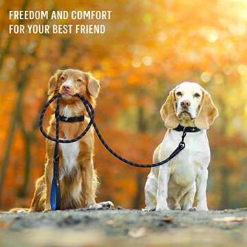 ACTIVE PETS Rope Leash - Strong, Reflective, Comfortable