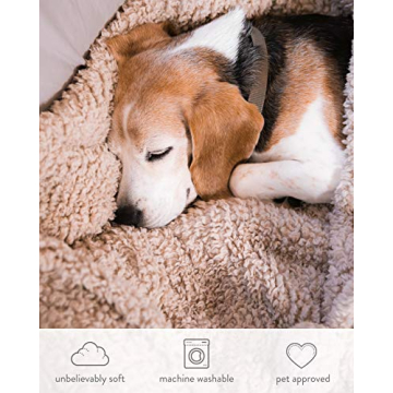 Premium Pom Pom Throw Blanket - Tan Throw Blanket, Plush Blanket, Soft Throw Blanket, Super Soft Blanket | Fall Throw Blanket for Couch, Fleece Blanket, Fleece Throw Blanket, 60” X 49.5”