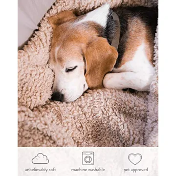 Premium Pom Pom Throw Blanket - Tan Throw Blanket, Plush Blanket, Soft Throw Blanket, Super Soft Blanket | Fall Throw Blanket for Couch, Fleece Blanket, Fleece Throw Blanket, 60” X 49.5”