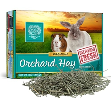 Small Pet Select Premium Orchard Grass Hay for Rabbits, Guinea Pigs, and More - 10 LB