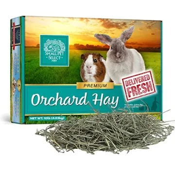 Small Pet Select Premium Orchard Grass Hay for Rabbits, Guinea Pigs, and More - 10 LB