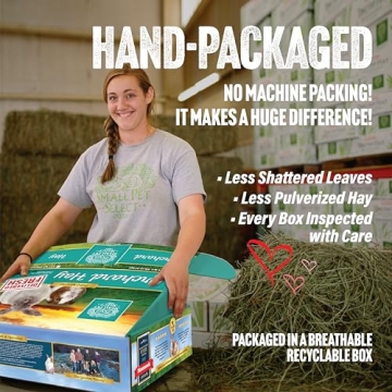 Premium Orchard Grass Hay for Small Pets - 10 LB