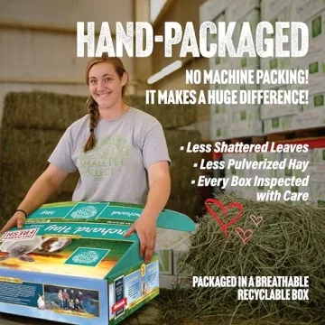 Premium Orchard Grass Hay for Small Pets - 10 LB