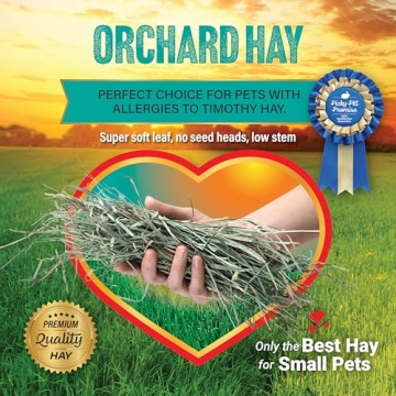 Premium Orchard Grass Hay for Small Pets - 10 LB