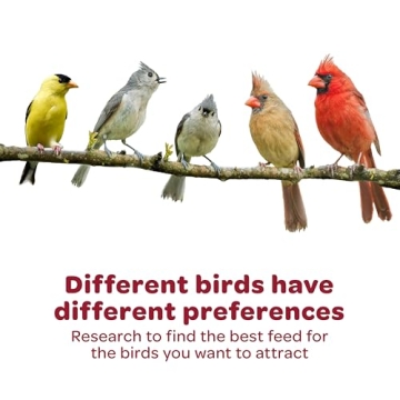 Kaytee Striped Sunflower Wild Bird Food 5lb High-Energy