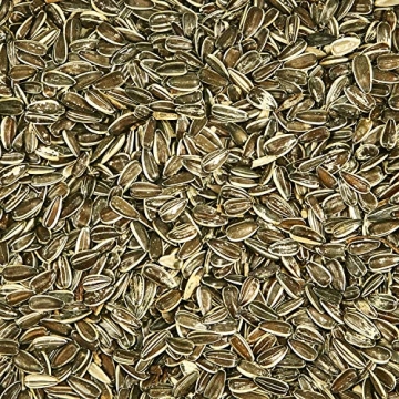 Kaytee Striped Sunflower Wild Bird Food 5lb High-Energy