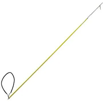 Scuba Choice 6' One Piece Spearfishing Fiber Glass Pole Spear with 1 Prong Single Barb Tip