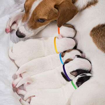 Weewooday Puppy Whelping Collars - Adjustable & Colorful 45pcs