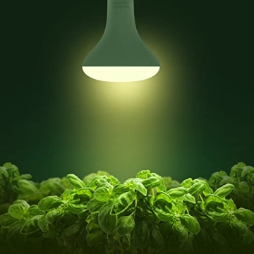 Briignite LED Grow Light Bulb for Healthier Indoor Plants