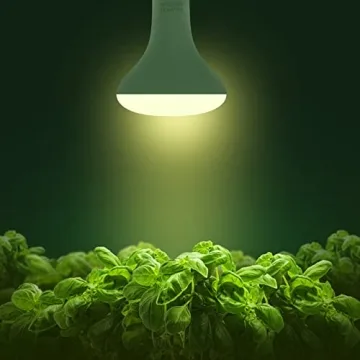 Briignite LED Grow Light Bulb for Healthier Indoor Plants