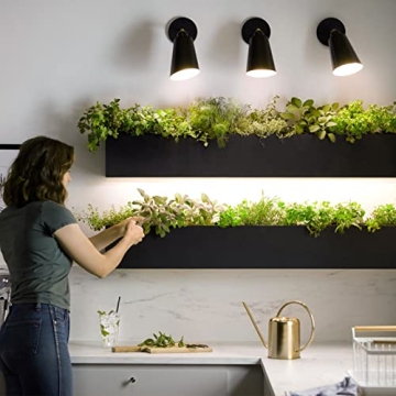 Briignite LED Grow Light Bulb for Healthier Indoor Plants