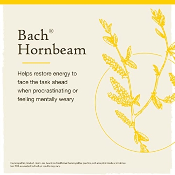 Bach Hornbeam Flower Essence for Procrastination Boost