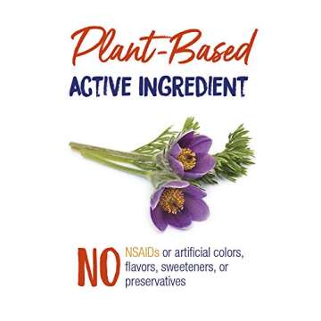 Boiron Pulsatilla 30C Homeopathic Medicine for Relief from Cold, Nasal Congestion, Thick Mucus, and Cough - 3 Count (240 Pellets)