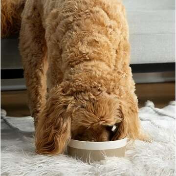 Waggo Dipper Ceramic Dog Bowl for Small and Large Breeds - Heavyweight and Durable Pet Food and Water Dish Crock, Dishwasher Safe, Modern (Vintage Grey, Small)