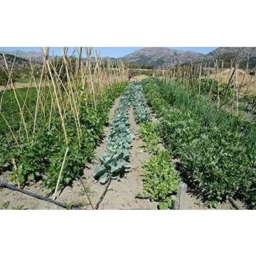 Rocky Mountain Goods Flat Soaker Hose 25 ft - Heavy Duty Double Layer Design - Saves 90% Water - Consistent Drip Throughout Hose - Leakproof Guarantee - Garden/Vegetable Safe