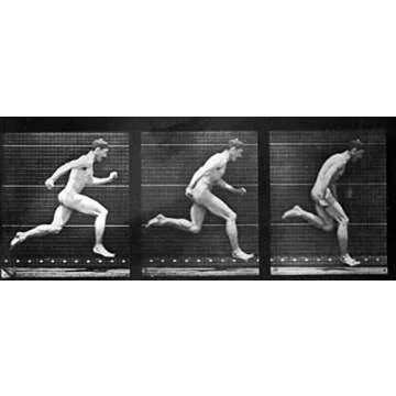 The Human Figure in Motion