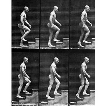 The Human Figure in Motion