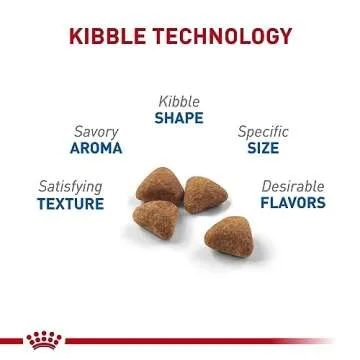 Royal Canin Indoor Adult Dry Cat Food for Cats