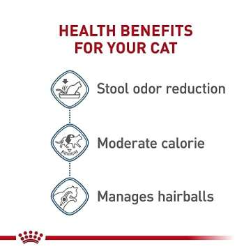 Royal Canin Indoor Adult Dry Cat Food for Cats