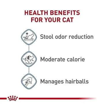 Royal Canin Indoor Adult Dry Cat Food for Cats