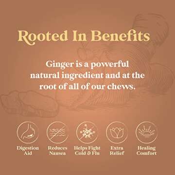 CHIMES ORIGINAL Ginger Chews (1-Pound 1 LB BAG) Premium Natural Chewy Ginger Candy — 16 OZ Individually Wrapped Ginger Chew Candy