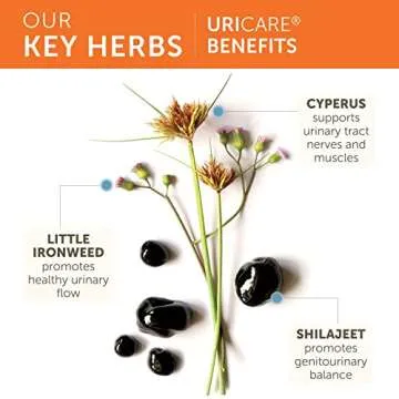 Himalaya UriCare Supplement for Kidney and Bladder Support