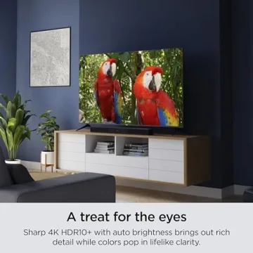 Roku 65-Inch Smart TV 4K HDR with Voice Remote