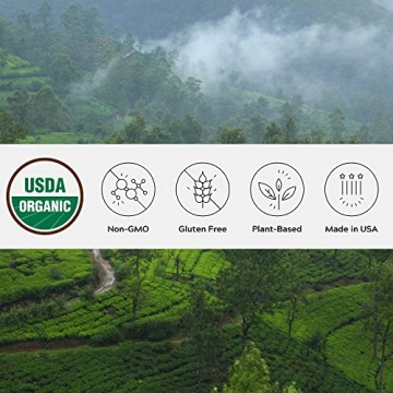 One Farm Organic Ceylon Cinnamon Resealable Jar for Cooking