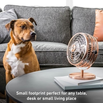 Stylish HOLMES 6" Table Fan - Quiet & Efficient Cooling