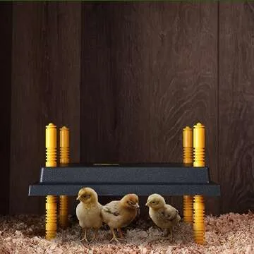 Rural365 Chick Heating Plate Brooder Plate - 12 Inch Brooder Heat Plate for Chicks and Ducklings with Adjustable Height