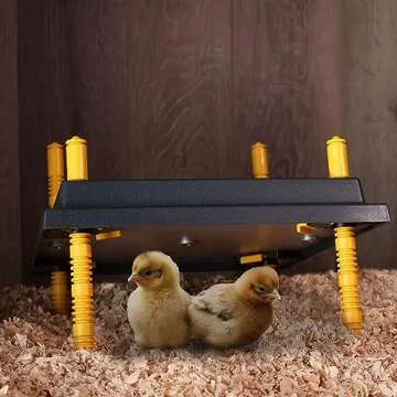 Rural365 Chick Heating Plate Brooder Plate - 12 Inch Brooder Heat Plate for Chicks and Ducklings with Adjustable Height