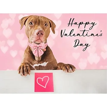 Valentine's Day Dog Collar with Bow Tie for Medium Dogs