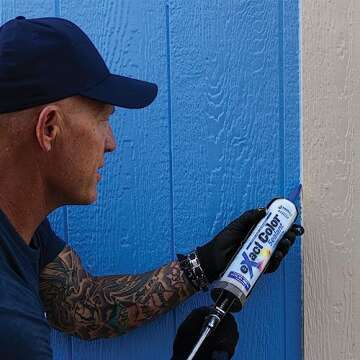 Exact Color DIY Kit 9.5 oz (Pack of 1)