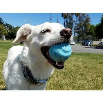 Chuckit! Gen 3 Fetch Medley Balls for Medium Dogs