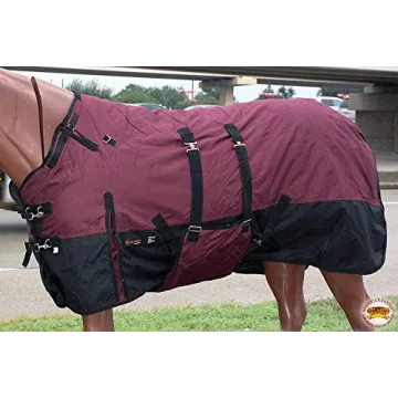 HILASON 1200D Winter Waterproof Poly Horse Blanket