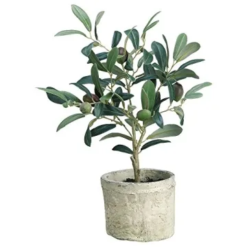 Charming Green Plastic Potted Olive Tree for Indoor Decor