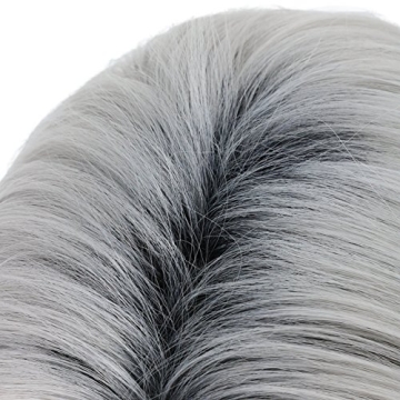 Karlery Mens Dark Root White Wig for Costumes