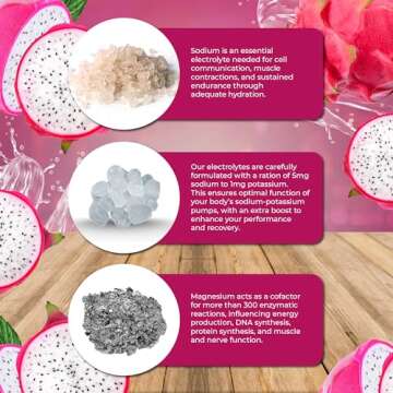 Santa Cruz Paleo Electrolyte Powder Dragonfruit with Himalayan & Sea Salt, Magnesium, Potassium, Sugar-Free, 30 Servings