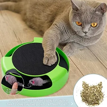 FYNIGO Interactive Cat Toy for Playful Indoor Cats
