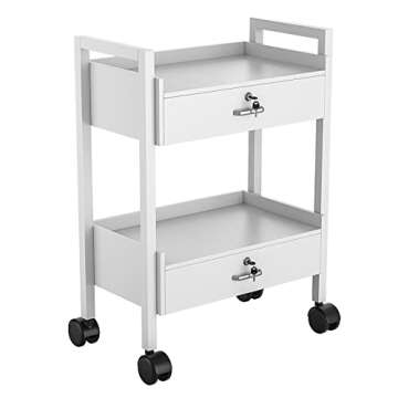 Salon Beauty Cabinet Cart Trolley – 2-Layer Rolling Storage Organizer
