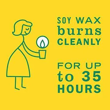 Mrs. Meyer's Clean Day Honeysuckle Aromatherapy Candle 35H